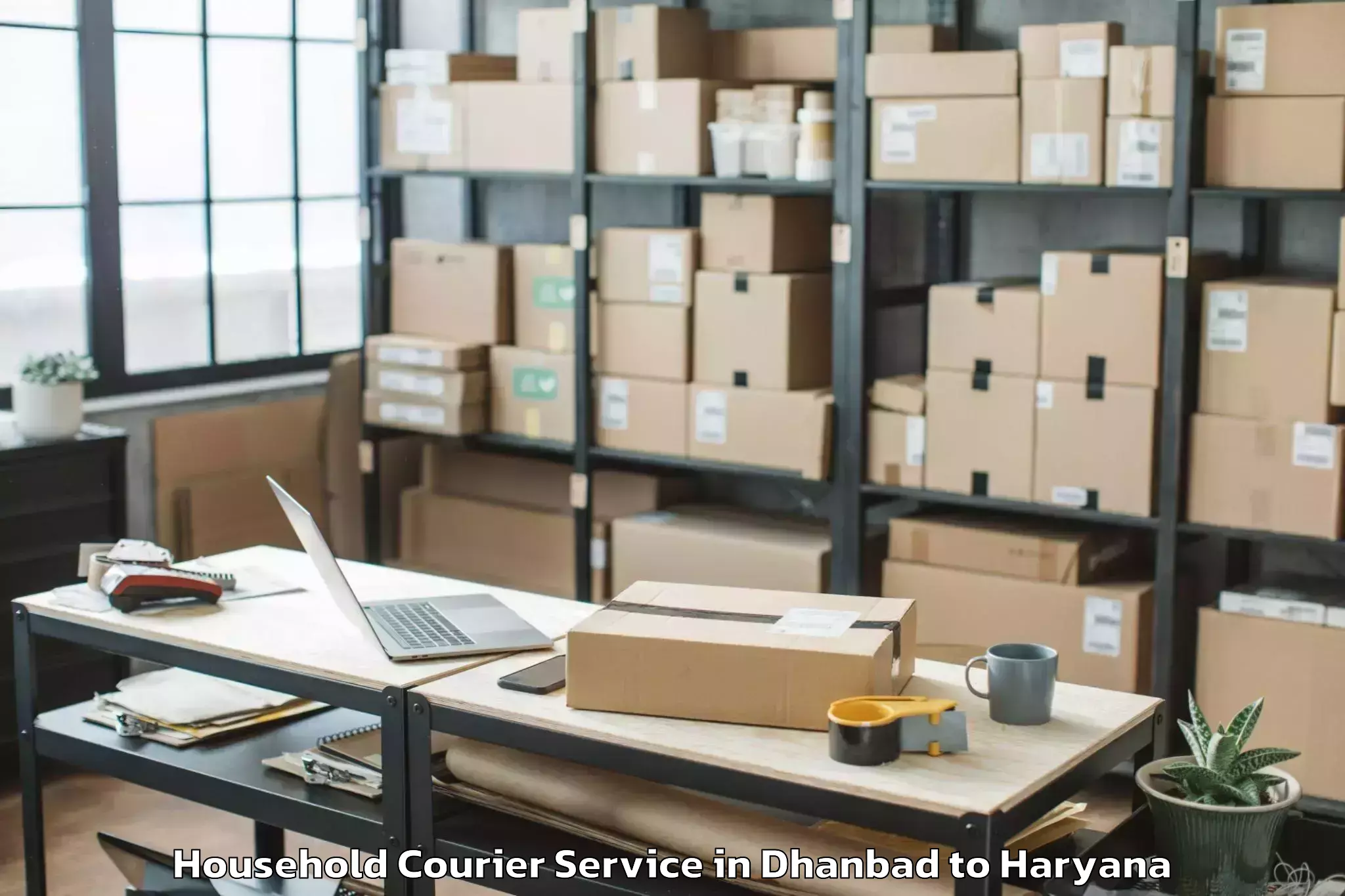 Book Dhanbad to Basantpur Household Courier Online